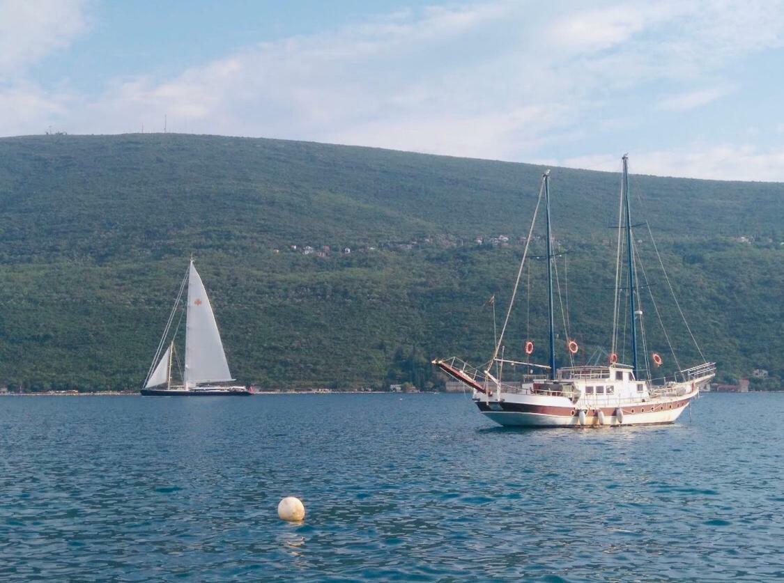 Vila Duricic 300M Od Mora Hotell Ðenovići Eksteriør bilde